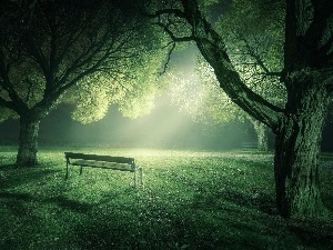 luminosity, sun, ligh, trees, flash, viewes, Bench