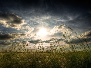 luminosity, sun, ligh, clouds, flash, Sky, Przebijaj?ce