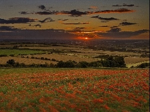 sun, west, field, panorama, medows