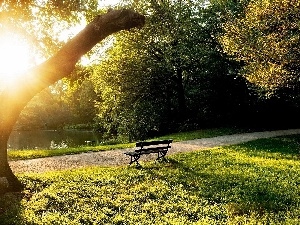 sun, Przebijaj?ce, Park, Bench