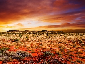 sun, west, clouds, prairie, Mountains