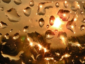 sun, west, Rain, Glass
