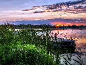 sun, west, rushes, lake