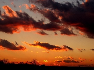 sun, west, Sky, clouds