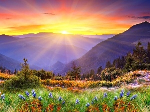 sun, rays, Spring, Mountains