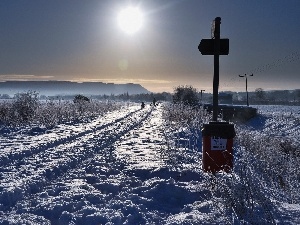 sun, Bush, Way, snow