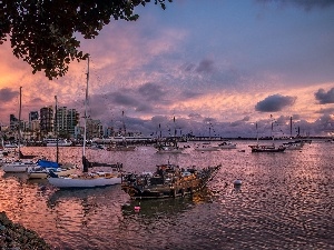 sun, west, wharf, Yachts