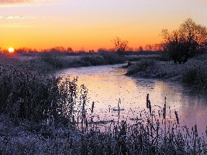 sun, Bush, east, River, winter, field