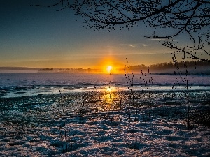 sun, west, field, winter, woods