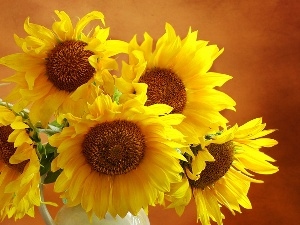 sunflowers, bouquet