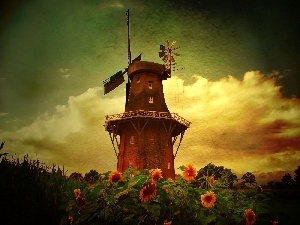 Nice sunflowers, Windmill