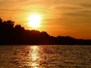 swimmer, lake, west, sun