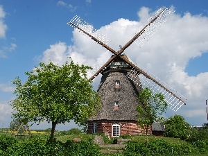 Swing, viewes, Windmill, trees
