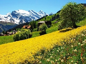 Switzerland, Houses, Mountains, Meadow