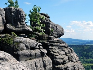 Szczeliniec Wielki, rocks, Table Mountain