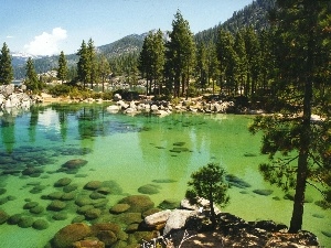 Tahoe, Mountains, forest, lake, California, Stones