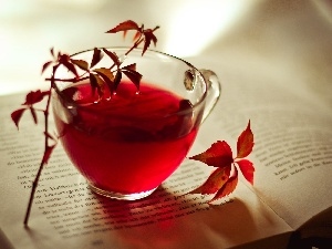 tea, Book, red hot