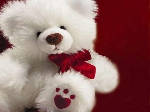 teddy bear, bow, White