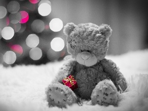teddy bear, Present, Plush