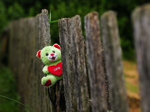 teddy bear, Fance, Valentine