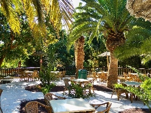 Palms, Tenerife, Restaurant