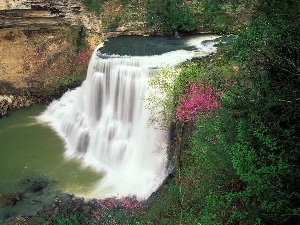 Tennessee, Burgess, waterfall, scrub
