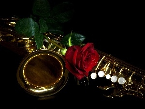 tenor, saxophone