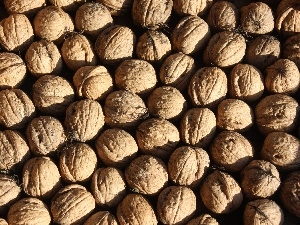 texture, nuts
