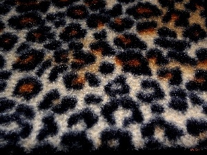 spots, texture, Leopard