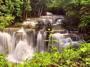 Thailand, cascade, forest, waterfall