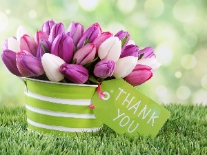 Tulips, thanks, bouquet