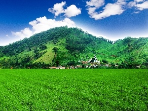 The Hills, field, Austria, Tirol