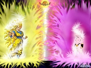 The Good vs Evil, Dragon Ball