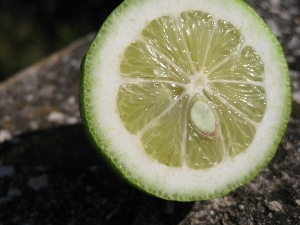 lime, the cut