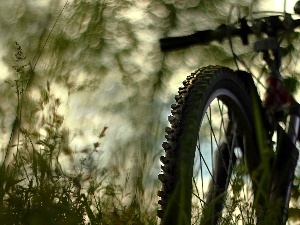 the spokes, tire, Bike, Plants, circle