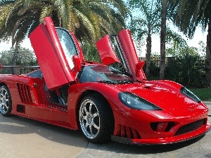 The hinged, Doors, Saleen S7