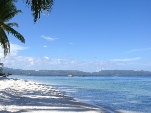 The Hills, water, Sand, Sky, Palm