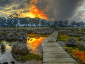 The setting, swamp, footbridge, sun, by