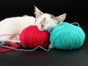 Threads, color, sleepy, cat