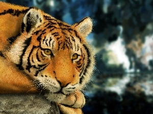 tiger, sad
