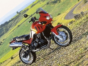 Triumph Tiger 955i