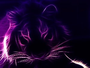tiger, Violet