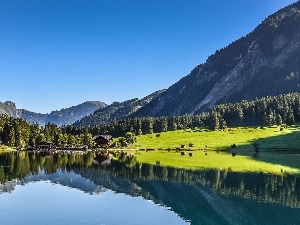 Tirol, woods, Mountains, Austria, lake