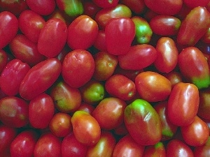 tomatoes, Longitudinal, red, green ones