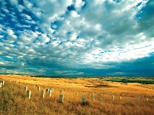 clouds, Tombstones, Field