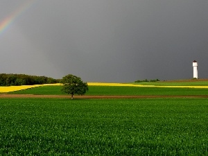tower, trees, field, Great Rainbows