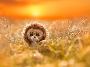 toy, grass, Great Sunsets