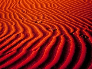 desert, traces, Sand