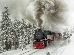 forest, Train, winter