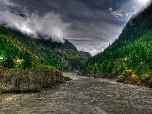Train, woods, River, Mountains